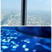 ヒメ日記 2025/09/01 08:57 投稿 みちる モアグループ春日部人妻城