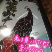 ヒメ日記 2025/09/01 19:39 投稿 みちる モアグループ春日部人妻城