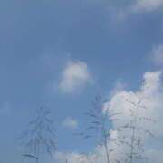 ヒメ日記 2025/09/10 09:54 投稿 みちる モアグループ春日部人妻城