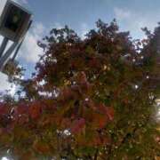 ヒメ日記 2025/09/30 12:51 投稿 みちる モアグループ春日部人妻城