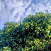 ヒメ日記 2025/10/18 09:28 投稿 みちる モアグループ春日部人妻城