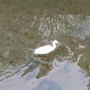 ヒメ日記 2025/10/27 13:33 投稿 みちる モアグループ春日部人妻城