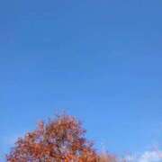 ヒメ日記 2025/11/16 10:03 投稿 みちる モアグループ春日部人妻城