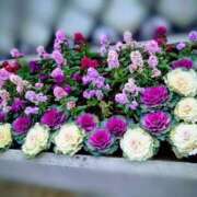 ヒメ日記 2025/11/19 09:03 投稿 みちる モアグループ春日部人妻城