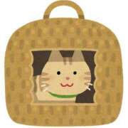 ヒメ日記 2025/11/22 23:18 投稿 みちる モアグループ春日部人妻城