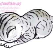 ヒメ日記 2025/04/18 22:37 投稿 明菜-あきな 熟女10000円デリヘル 川崎