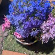 ヒメ日記 2026/04/27 17:18 投稿 明菜-あきな 熟女10000円デリヘル横浜