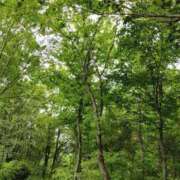 ヒメ日記 2025/05/20 10:22 投稿 きょうこ 吉祥寺おかあさん