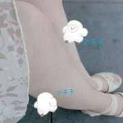 ヒメ日記 2025/08/30 12:52 投稿 ことね 吉祥寺おかあさん