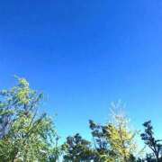 ヒメ日記 2026/02/13 00:23 投稿 ぬくみ（NUKUMI） 裸でマッサージ＋デリヘルサービス！TOKYO VIP