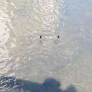 ヒメ日記 2025/02/20 11:22 投稿 みほ 吉祥寺おかあさん