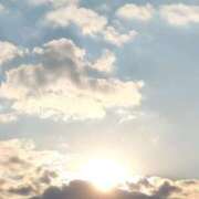 ヒメ日記 2025/03/20 17:22 投稿 みほ 吉祥寺おかあさん