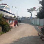 ヒメ日記 2025/03/26 17:52 投稿 みほ 吉祥寺おかあさん