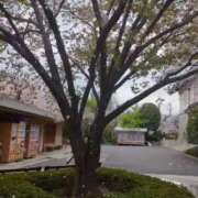 ヒメ日記 2025/04/07 21:32 投稿 みほ 吉祥寺おかあさん