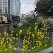 ヒメ日記 2025/04/09 10:03 投稿 みほ 吉祥寺おかあさん