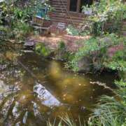 ヒメ日記 2025/04/16 09:42 投稿 みほ 吉祥寺おかあさん