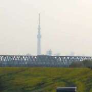 ヒメ日記 2025/04/23 10:03 投稿 みほ 吉祥寺おかあさん