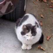 ヒメ日記 2025/04/28 11:42 投稿 みほ 吉祥寺おかあさん