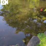 ヒメ日記 2025/05/12 10:04 投稿 みほ 吉祥寺おかあさん