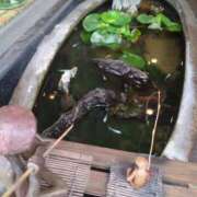 ヒメ日記 2025/05/17 08:12 投稿 みほ 吉祥寺おかあさん