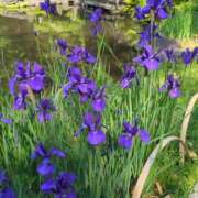 ヒメ日記 2025/05/21 09:52 投稿 みほ 吉祥寺おかあさん