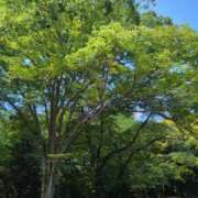 ヒメ日記 2025/05/23 10:04 投稿 みほ 吉祥寺おかあさん