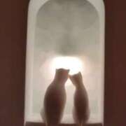 ヒメ日記 2025/05/30 10:03 投稿 みほ 吉祥寺おかあさん