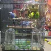 ヒメ日記 2025/06/06 23:52 投稿 みほ 吉祥寺おかあさん