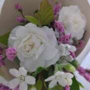 ヒメ日記 2025/06/25 22:52 投稿 みほ 吉祥寺おかあさん