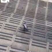 ヒメ日記 2025/06/29 23:32 投稿 みほ 吉祥寺おかあさん