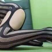 ヒメ日記 2025/09/02 16:12 投稿 みほ 吉祥寺おかあさん