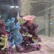 ヒメ日記 2025/09/07 23:12 投稿 みほ 吉祥寺おかあさん