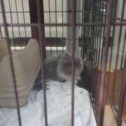 ヒメ日記 2025/09/30 22:52 投稿 みほ 吉祥寺おかあさん