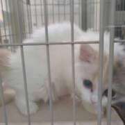 ヒメ日記 2025/10/08 20:42 投稿 みほ 吉祥寺おかあさん