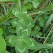 ヒメ日記 2025/10/13 21:22 投稿 みほ 吉祥寺おかあさん