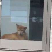 ヒメ日記 2025/10/14 21:42 投稿 みほ 吉祥寺おかあさん