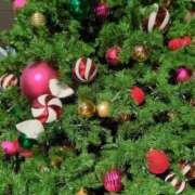 ヒメ日記 2025/11/21 20:22 投稿 みほ 吉祥寺おかあさん