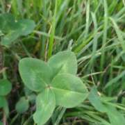 ヒメ日記 2025/11/29 08:22 投稿 みほ 吉祥寺おかあさん