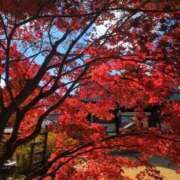 ヒメ日記 2025/12/09 21:22 投稿 みほ 吉祥寺おかあさん