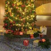 ヒメ日記 2025/12/24 09:02 投稿 みほ 吉祥寺おかあさん