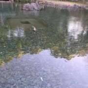 ヒメ日記 2026/01/11 23:12 投稿 みほ 吉祥寺おかあさん