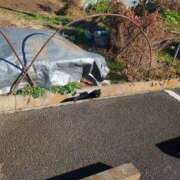 ヒメ日記 2026/01/12 08:12 投稿 みほ 吉祥寺おかあさん