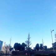 ヒメ日記 2025/02/18 09:42 投稿 れいこ 吉祥寺おかあさん