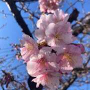 ヒメ日記 2025/02/22 09:22 投稿 れいこ 吉祥寺おかあさん
