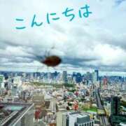 れいこ こんにちは🍂 吉祥寺おかあさん