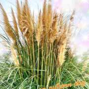 れいこ おはようございます✨ 吉祥寺おかあさん