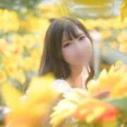 ヒメ日記 2025/02/10 18:02 投稿 ころね 素人美少女専門　新横浜アンジェリーク（アンジェリークグループ）