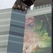 ヒメ日記 2025/03/01 17:42 投稿 けいな 吉祥寺おかあさん