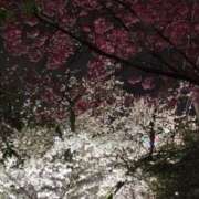 ヒメ日記 2025/04/02 23:32 投稿 けいな 吉祥寺おかあさん