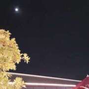 ヒメ日記 2025/04/03 19:52 投稿 けいな 吉祥寺おかあさん